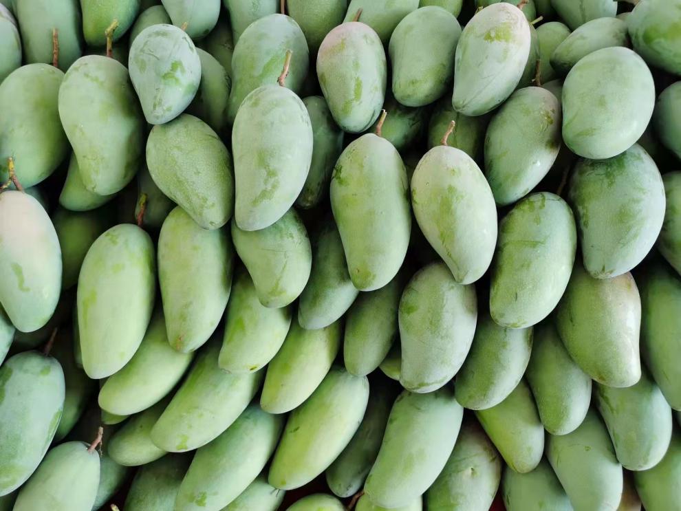 青芒当季新鲜水果10斤整箱越南特大忙亡果金煌水仙芒果精品果王果肉优