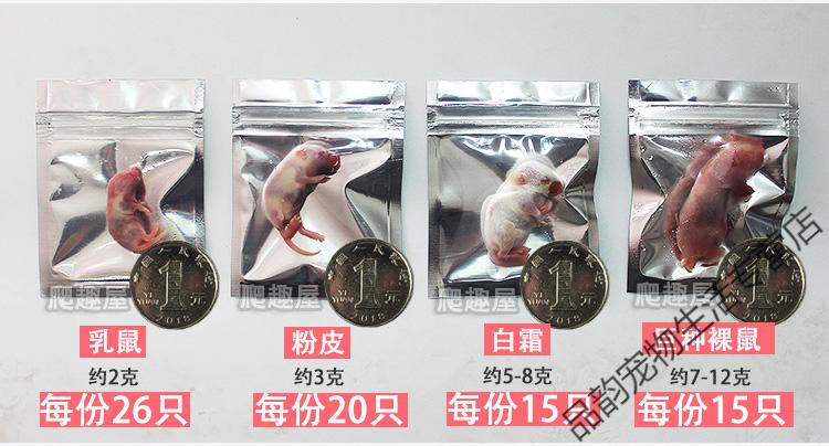 【顺丰速运】}冰冻乳鼠爬虫食物宠物粮乌龟饲料活体小老鼠红皮冻干粉
