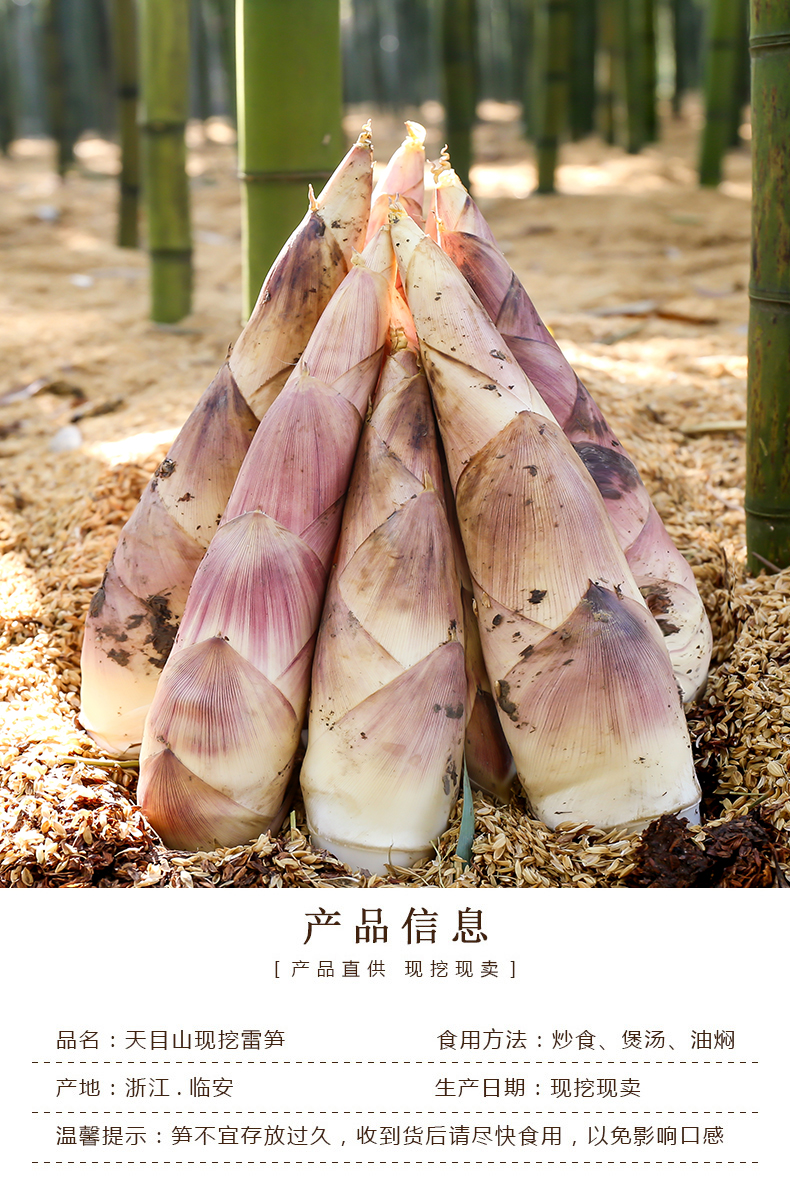 临安春笋农家新鲜蔬菜现挖雷笋竹笋大笋5斤812根顺丰25kg