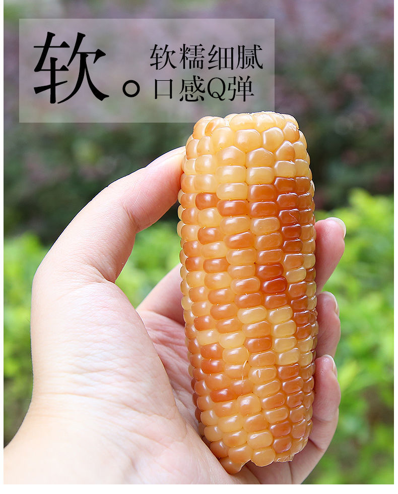 云南西双版纳香甜小糯玉米真空即食新鲜现摘黏花糯玉米棒1斤34根
