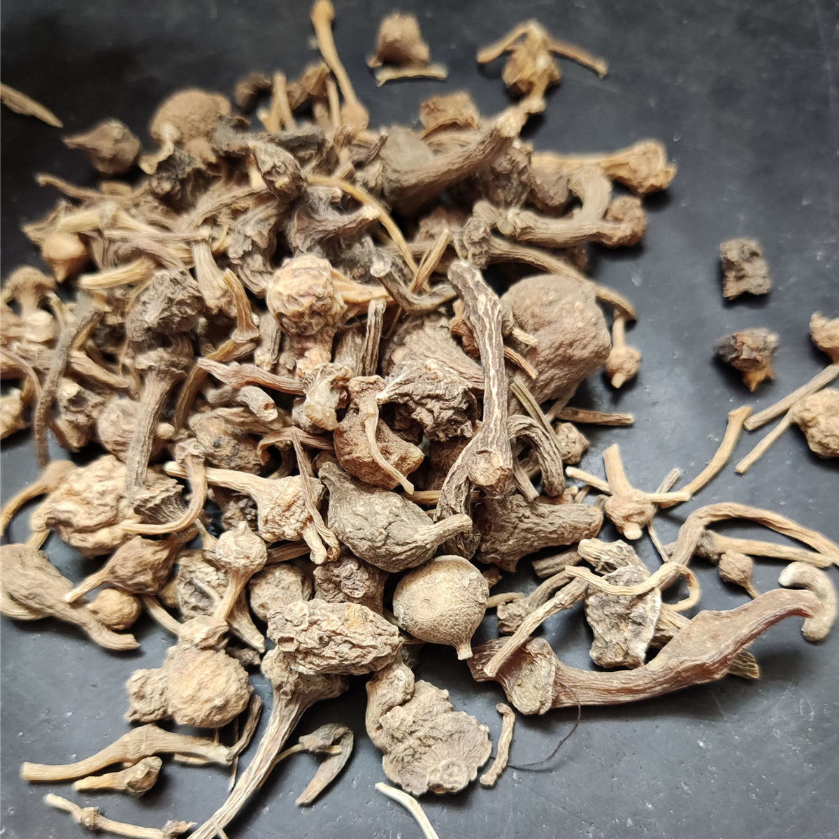 珠儿参 珠子参 扣子七 钮子七 有竹节三七 猪儿参 中药材店铺 野生.