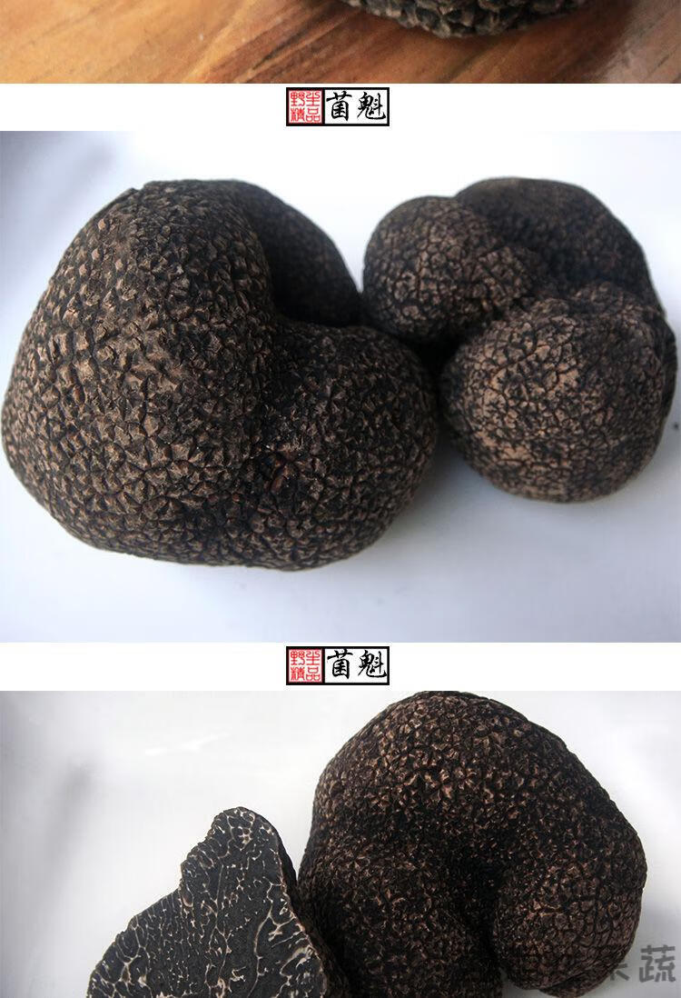 云南野生黑松露白松露l新鲜黑松露白松露菌57公分1000克云南特产黑