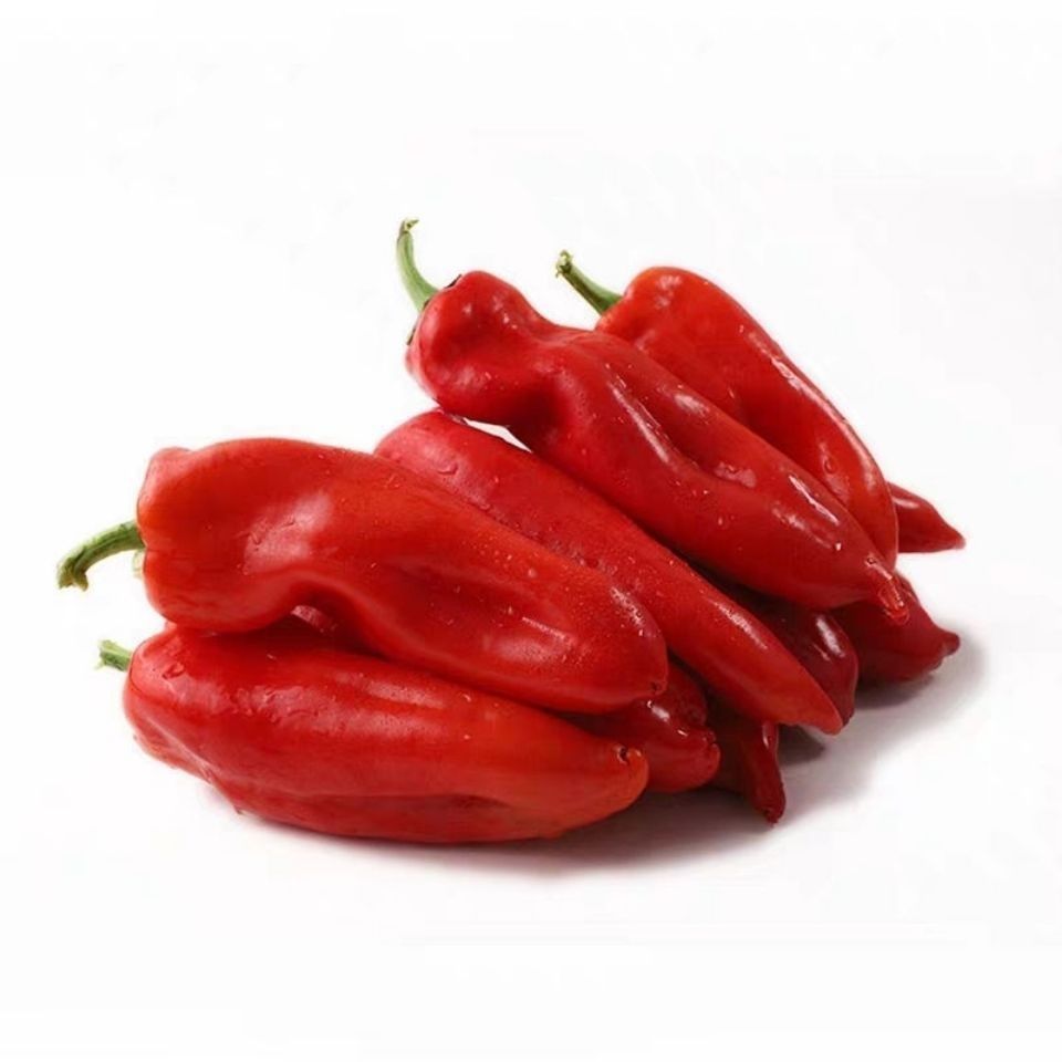 现摘新鲜红辣椒红尖椒大红泡椒海鲜椒微辣红椒油焖剁椒辣椒酱现发