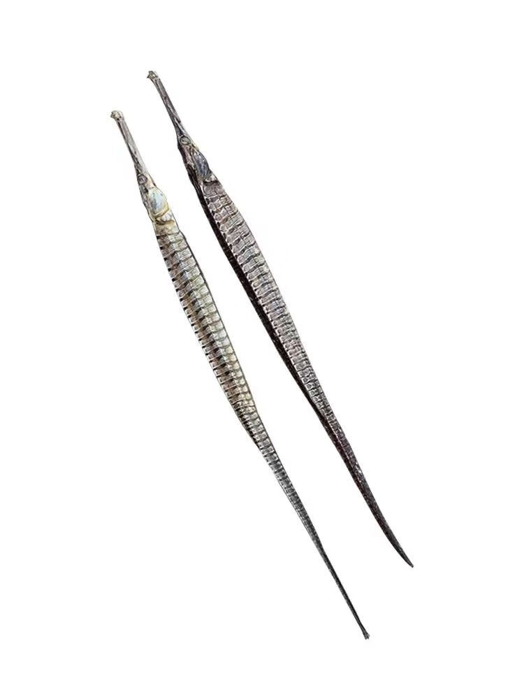 北京同仁堂原料龙六角大海龙干货男性泡酒的药材六角大海龙市场海燕