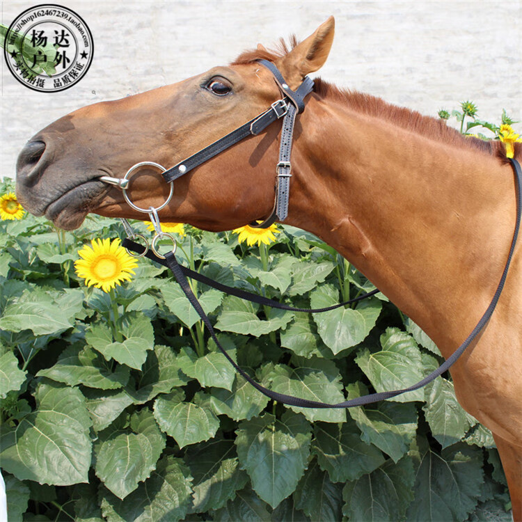 新款水勒韁繩牛皮馬嚼子全套用品馬具大小矮馬籠頭飛