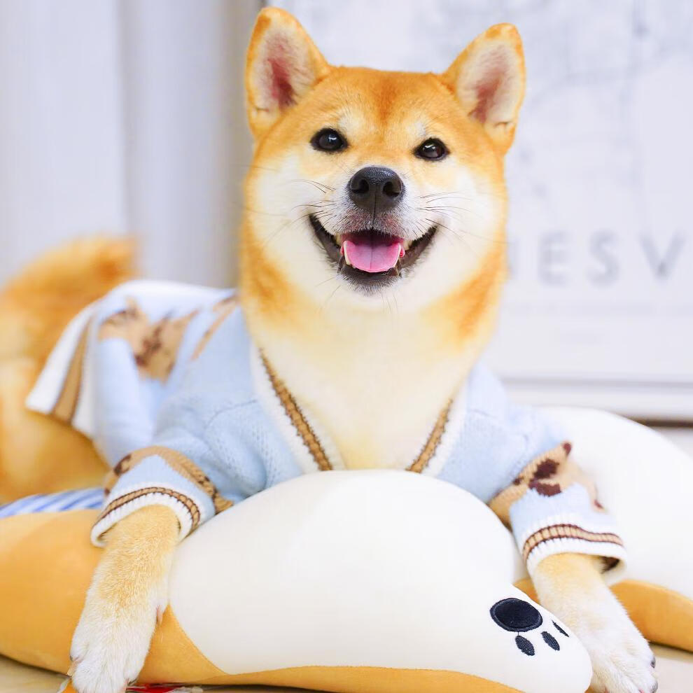 柴犬衣服柴犬毛衣网红狗狗新年可爱衣服秋冬装厚针织开衫保暖喜庆拜年