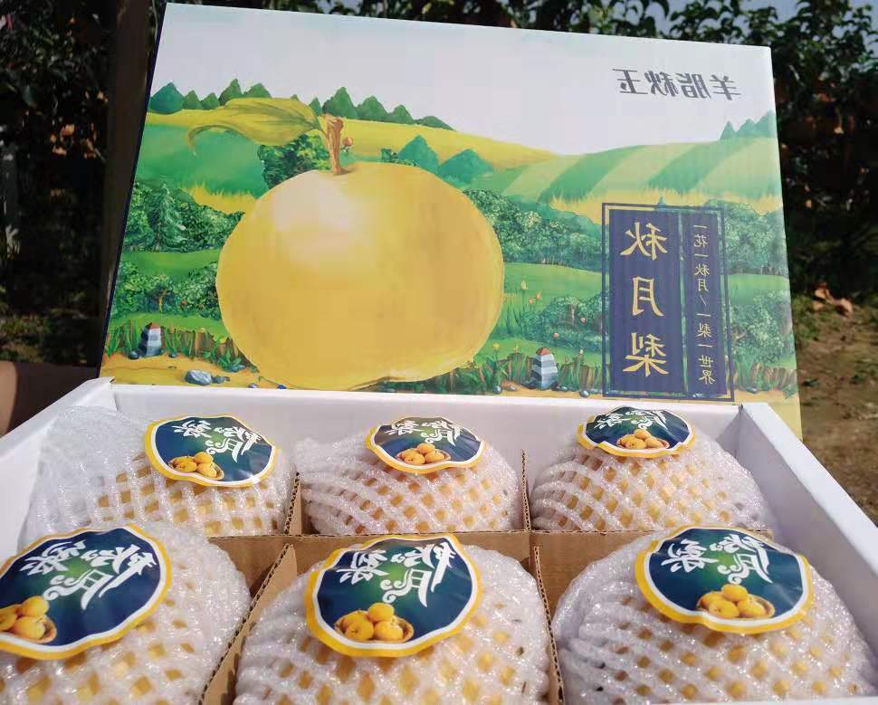 可送货上门正宗莱阳丰水梨秋月梨礼盒装新鲜水果梨子孕妇水果山东特产