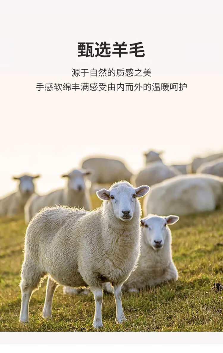 ffc582590fff9927.jpg