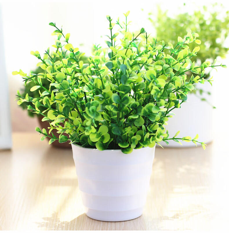 小摆件创意室内客厅办公桌面花卉植物盆景绿色塑料波纹瓶小尤加利套装
