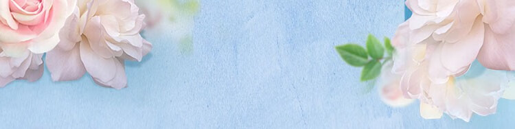 [极速版专享]清风抽纸花萃系列4层压花纸巾餐巾纸卫生纸巾家用单提面巾纸【全新上市】 4层80抽4包(有香型)