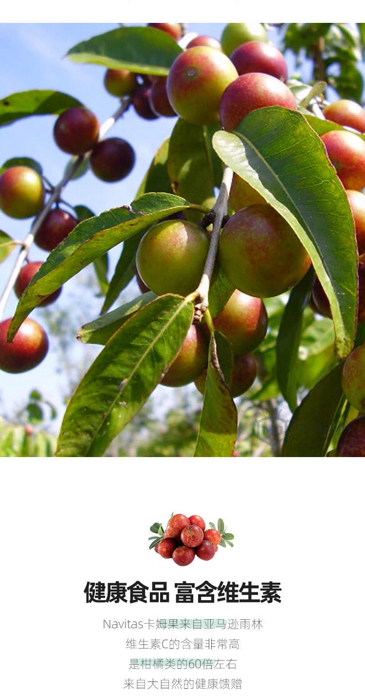 5折 卡姆果粉 美国navitascamupowder冻干卡姆粉生酮张韶涵卡姆 原装