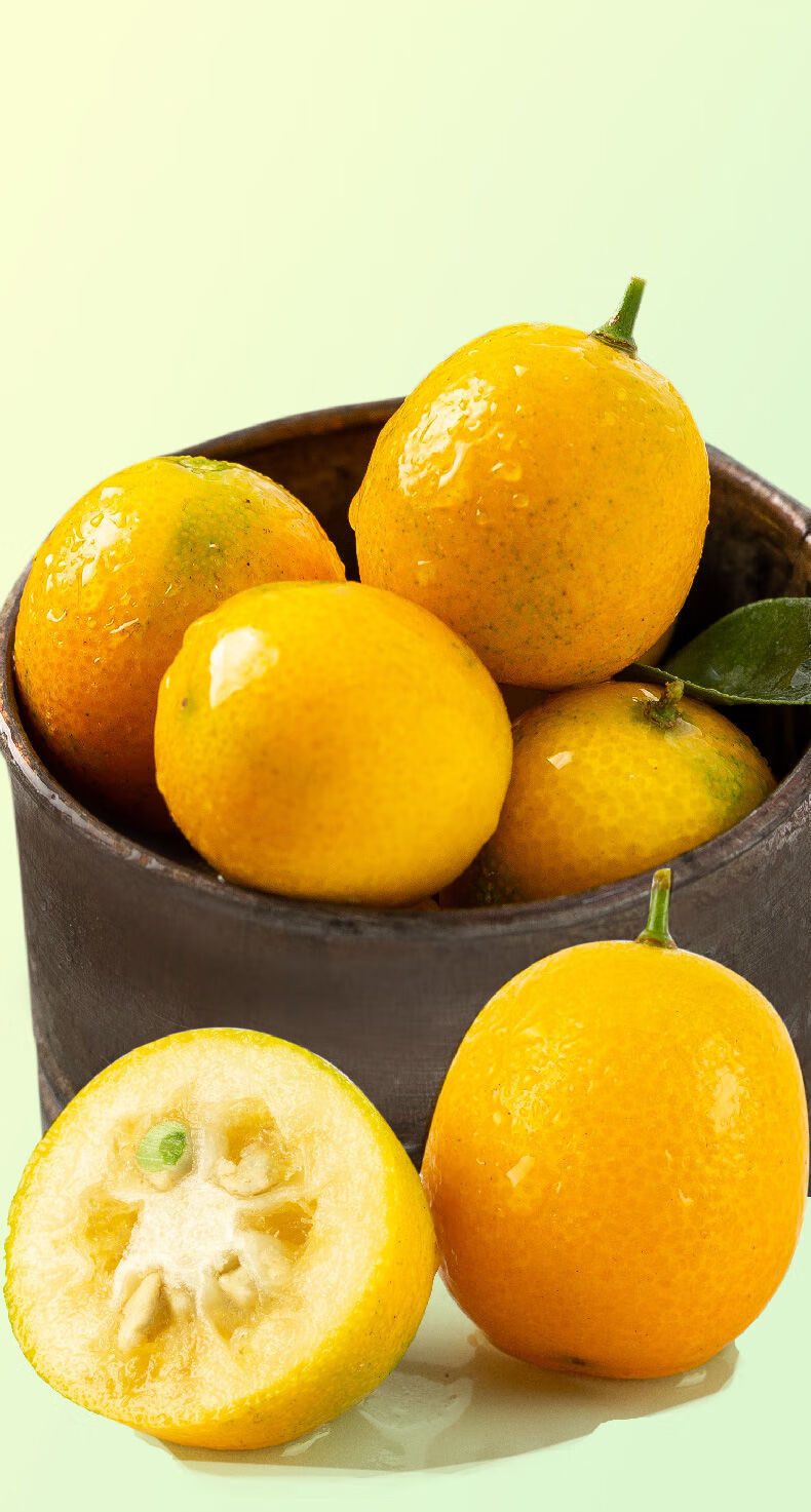 鲜其 黄皮金桔批发小金桔新鲜名麻皮油皮酸甜金钱桔 防冻包装【寒冷