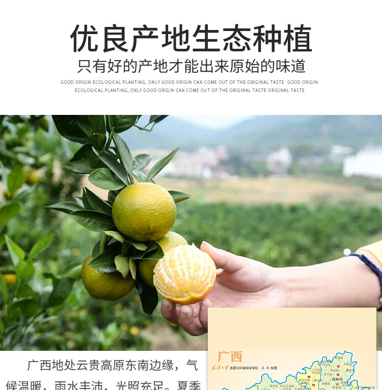 采缇广西皇帝柑大果新鲜水果9斤装贡柑橘子应季水果整箱薄皮蜜桔子105