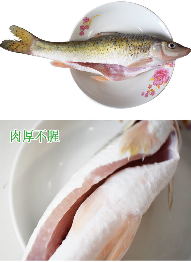 lism正宗野生花骨魚棍子魚棒棒魚馬鯽魚蛇鮈新鮮淡水活魚小河魚五斤裝