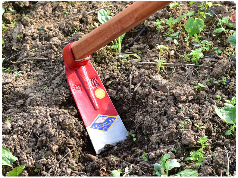 新款宽板锄头 农用锄草锄头锰钢加厚钢板宽锄家用户外挖土种菜开荒挖