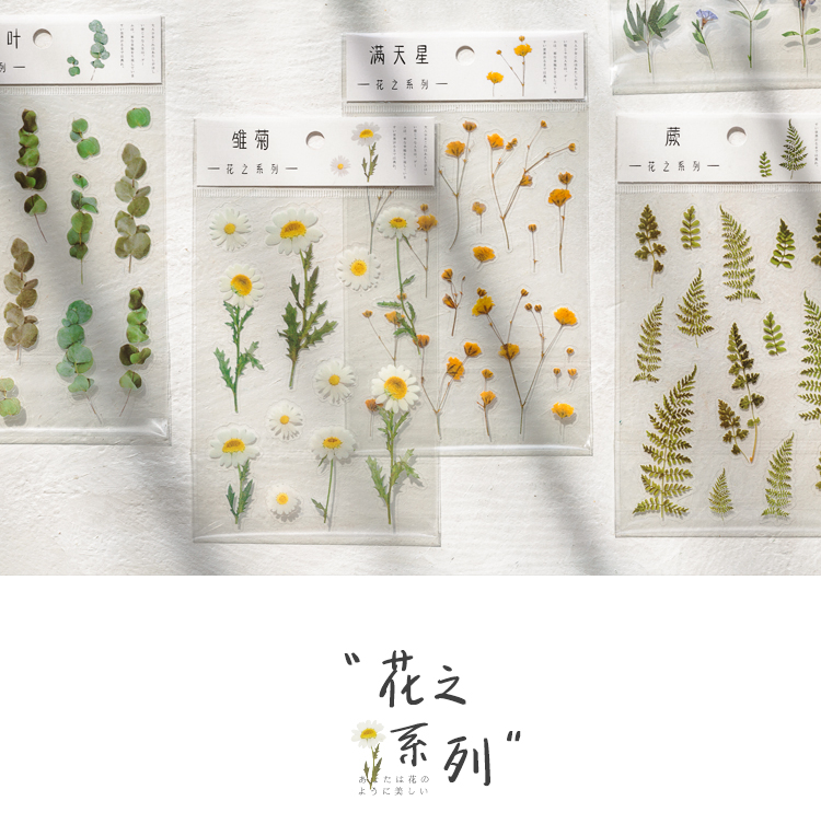 矢向冰箱贴纸纸先生花卉pet手帐透明韩国贴纸包水冰箱小清新花草装饰