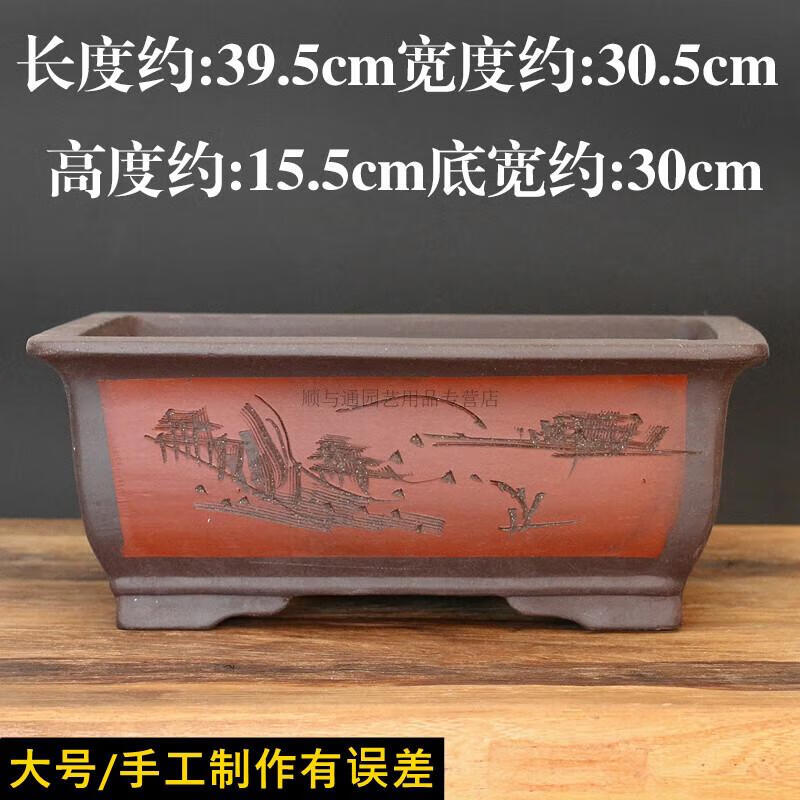 1f99a4170ee22c51.jpg