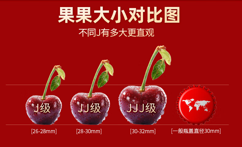 智利车厘子特大j樱桃新鲜当季水果整箱黑珍珠zxl24mm含26mm不含500g