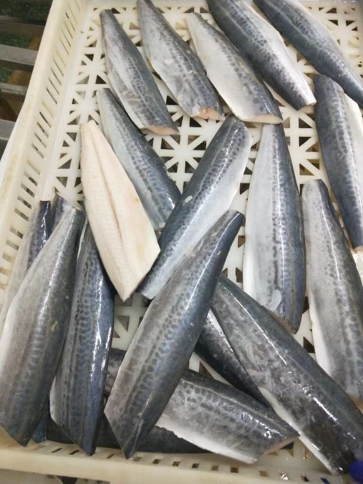 轻恋鲅鱼片新鲜冷冻大鲅鱼马鲛鱼水饺馅海产冻鱼批发四斤装超市品质