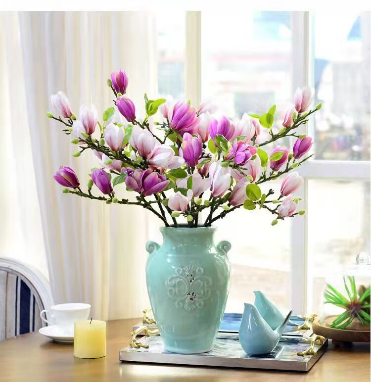 顾致【带花苞】水培玉兰花冬季超好养花卉盆栽桌摆阳台植物室内超耐寒