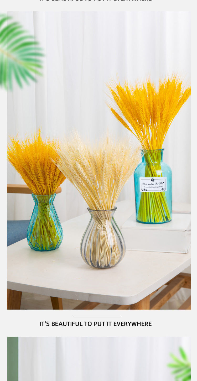 天然大麦穗干花北欧花瓶家居摆件真花风束开业庆典装饰干插花批发
