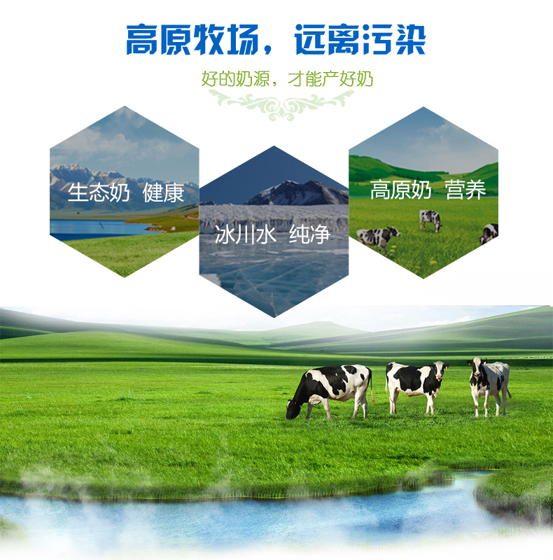 青海小西牛牛奶243ml12瓶整箱小瓶装小犀牛纯牛奶小孩子喝的牛奶