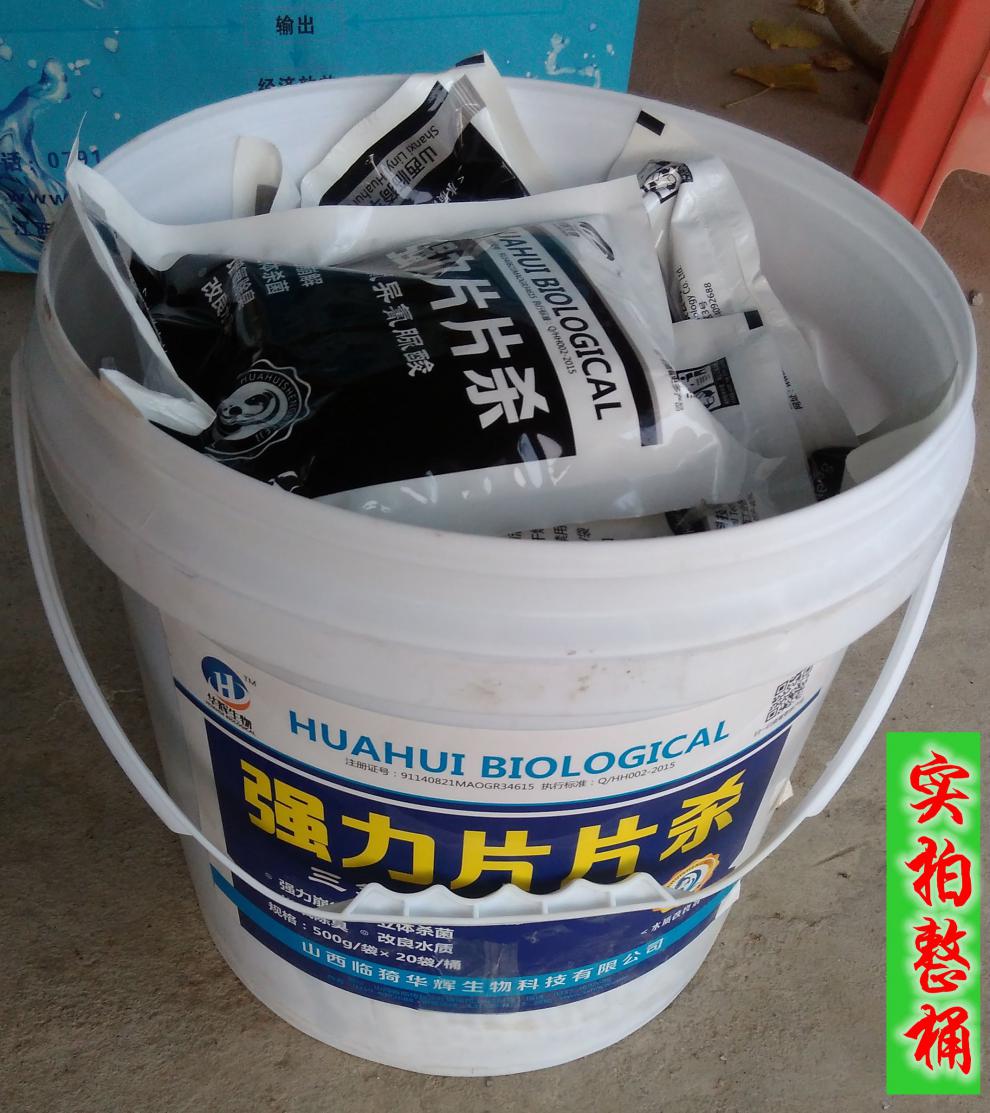 强氯精水产消毒片除臭 鱼塘消毒片片杀强绿精消毒剂鱼养殖 强氯精粉剂