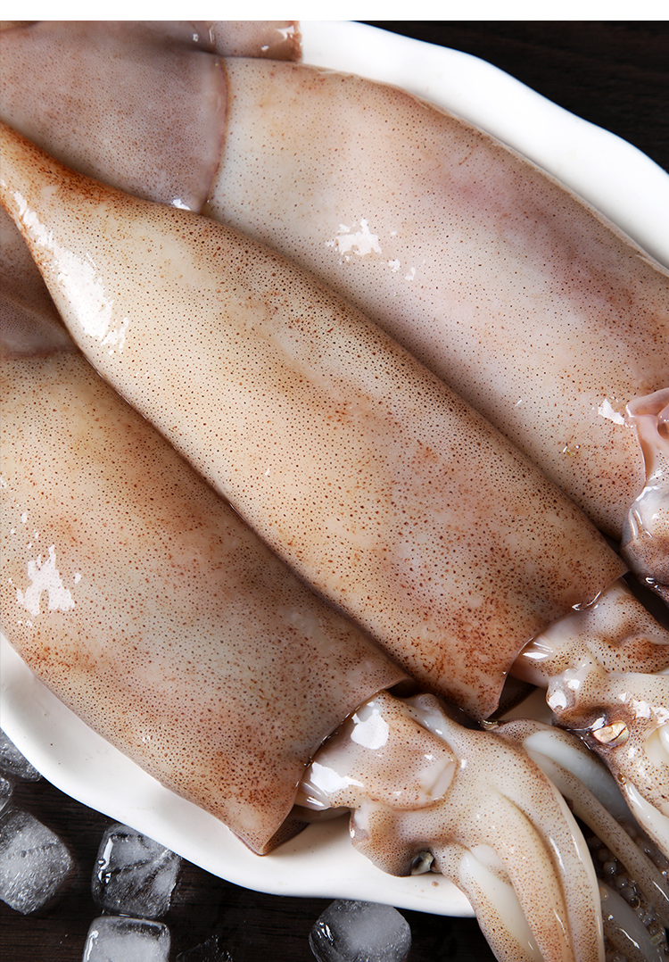 鱿鱼新鲜鲜活深海无漂白整只鲜冻冰冻冷冻水产饭铁板商用2500g5斤实实