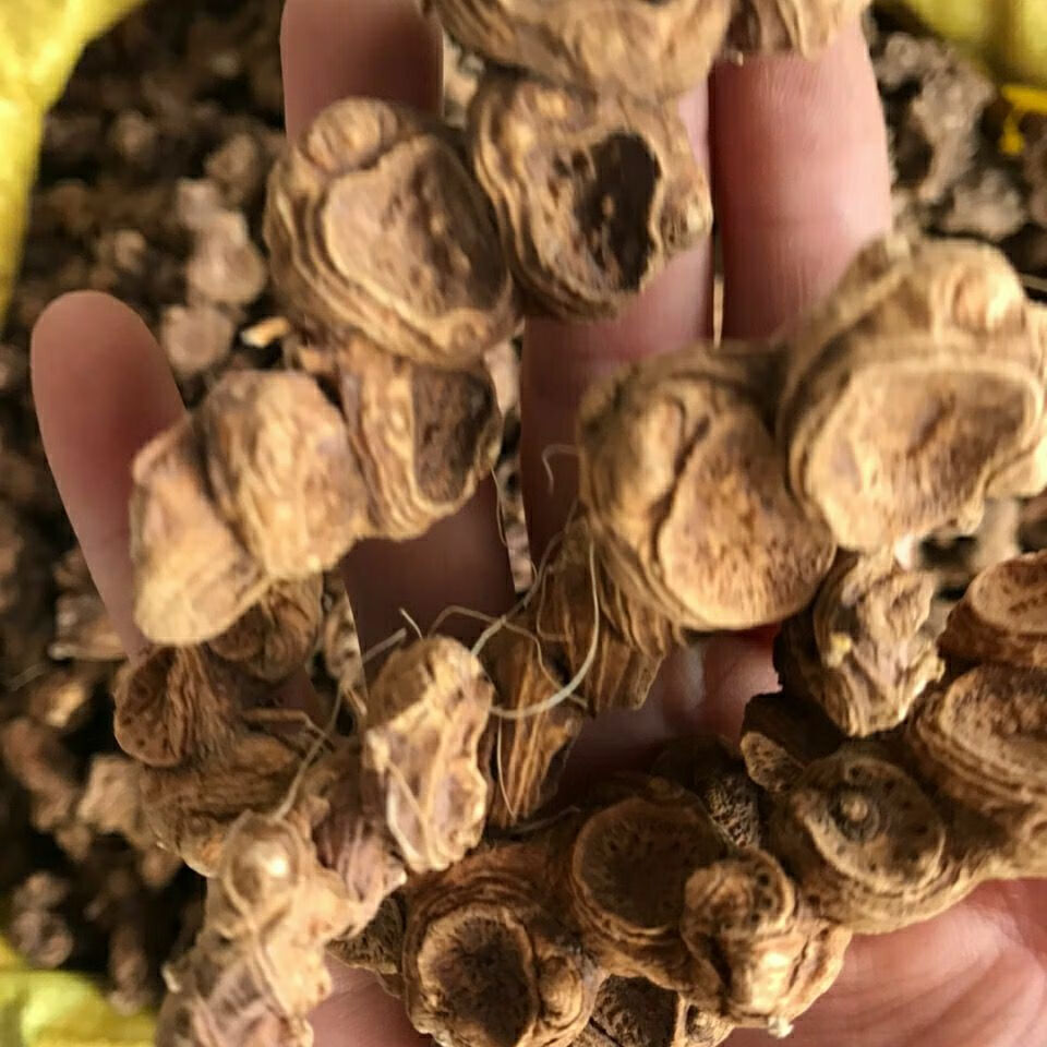 中药材 八角莲 八角连 金魁莲 八角金盘500g【图片 价格 品牌 报价】