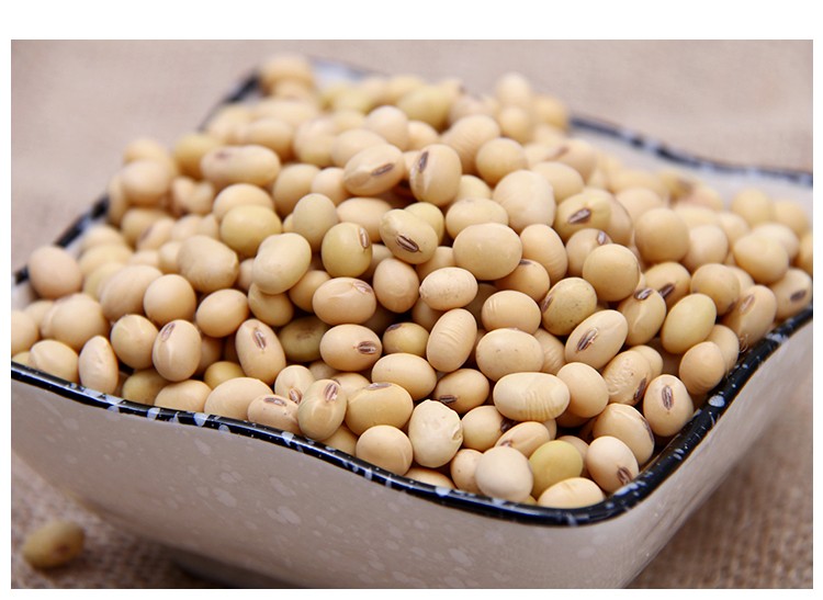 年货新豆老品种黄豆农家自种黄豆笨黄豆打豆浆专用2000克