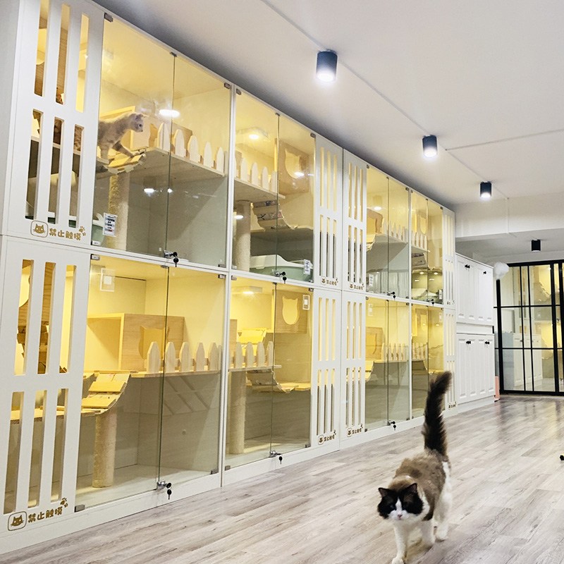 京选好物实木宠物柜猫狗笼子别墅房子玻璃门木格栅展示柜宠物店寄养大