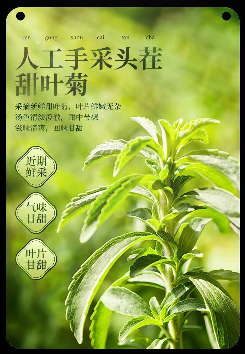 甜叶菊中药别名图片