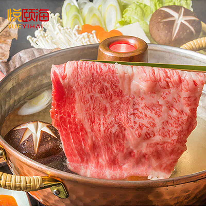 悦颐海火锅底料5kg餐饮装商用量贩装大桶装清油牛油清汤酸甜番茄味