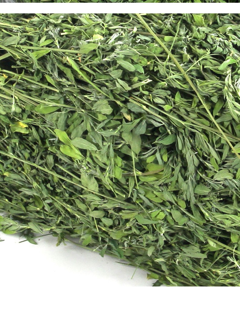 真果沁2021年苜蓿草兔粮兔饲料荷兰猪草兔子草饲料苜宿草幼兔粮干草