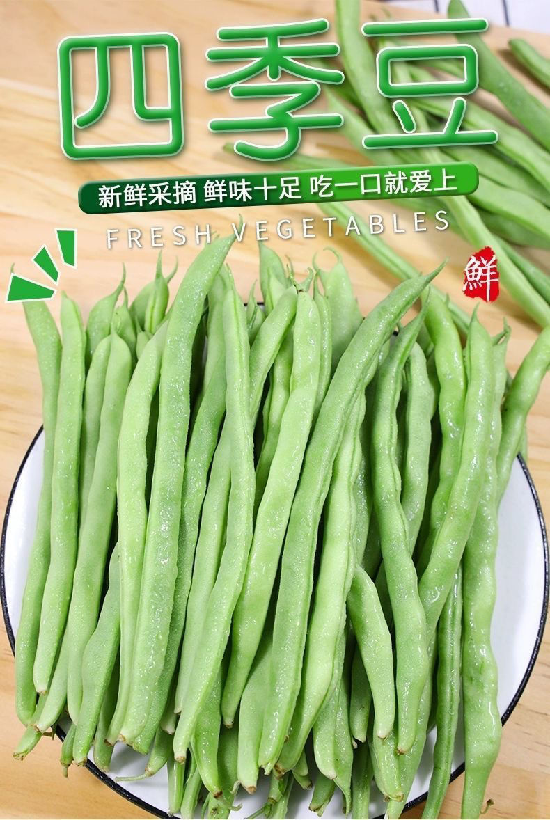 云南无筋豆四季豆芸豆角新鲜蔬菜嫩豆扁豆刀豆无茎豆农家四季豆5斤