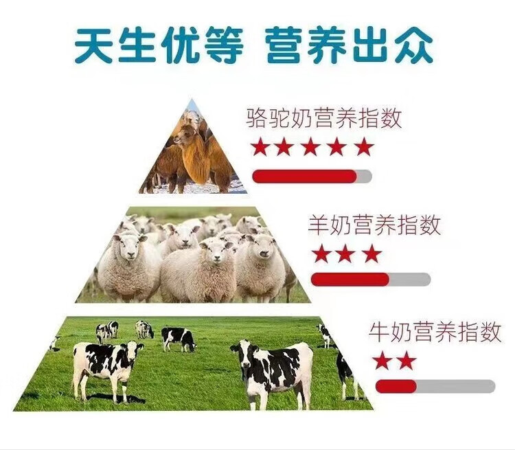 28e773df8ca068a2.jpg
