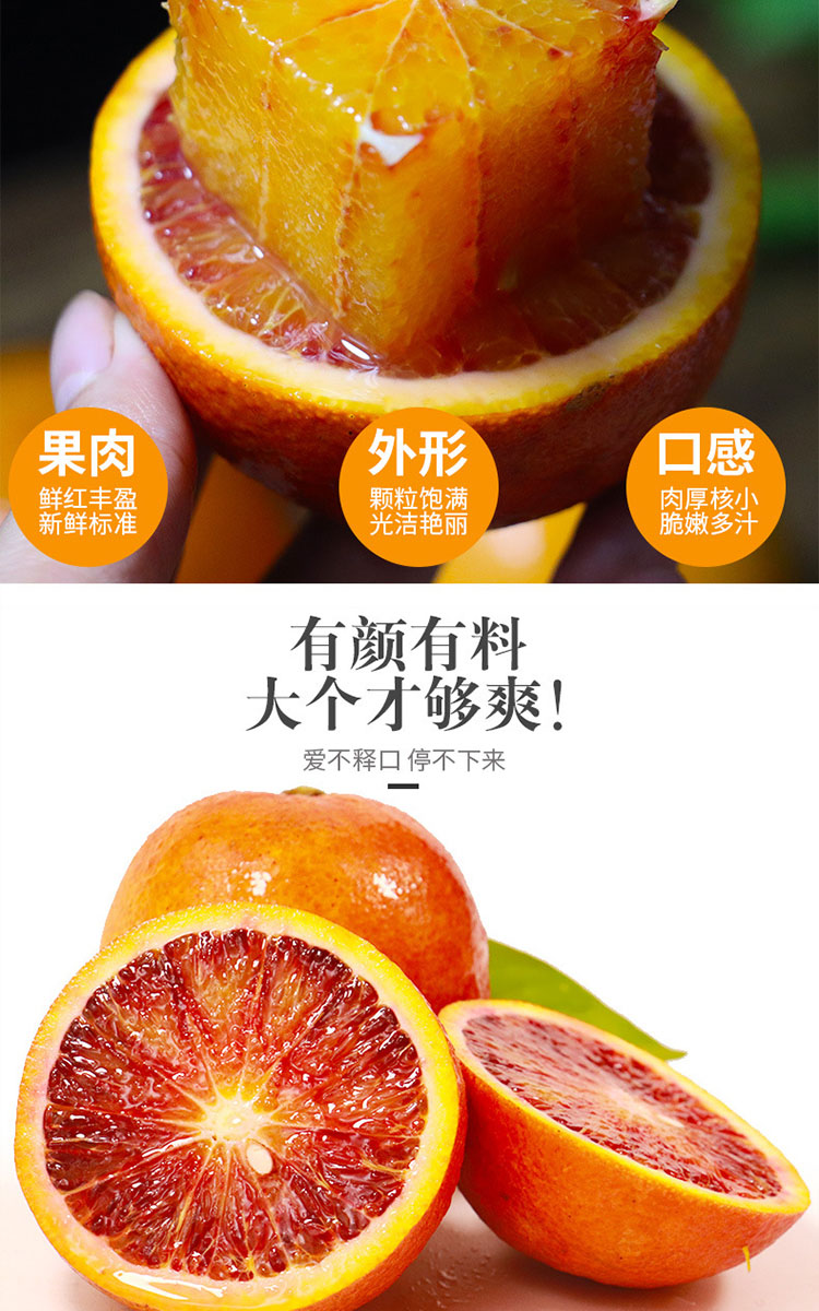 四川资中血橙新鲜水果特级大果塔罗科血橙红心橙子新鲜产地现摘现发5