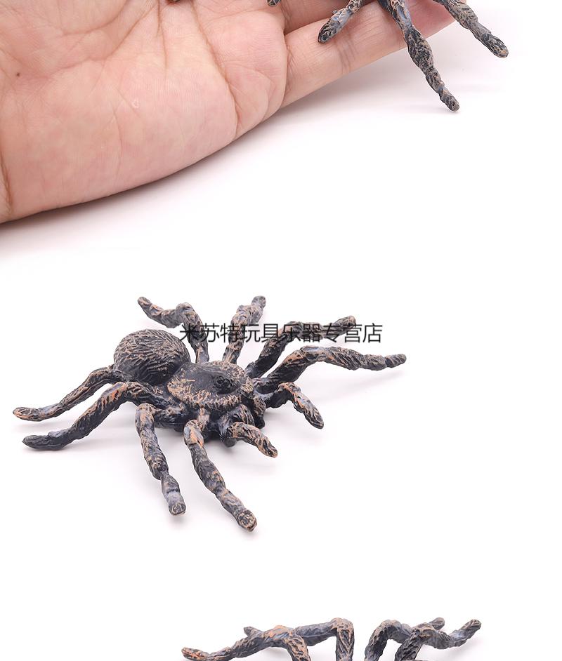 520情人节礼物蜘蛛玩具可爱 实心仿真蜘蛛模型昆虫玩具黑蜘蛛狼蛛大