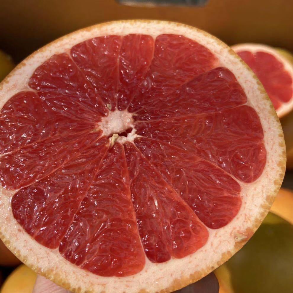 以色列葡萄柚品种图片