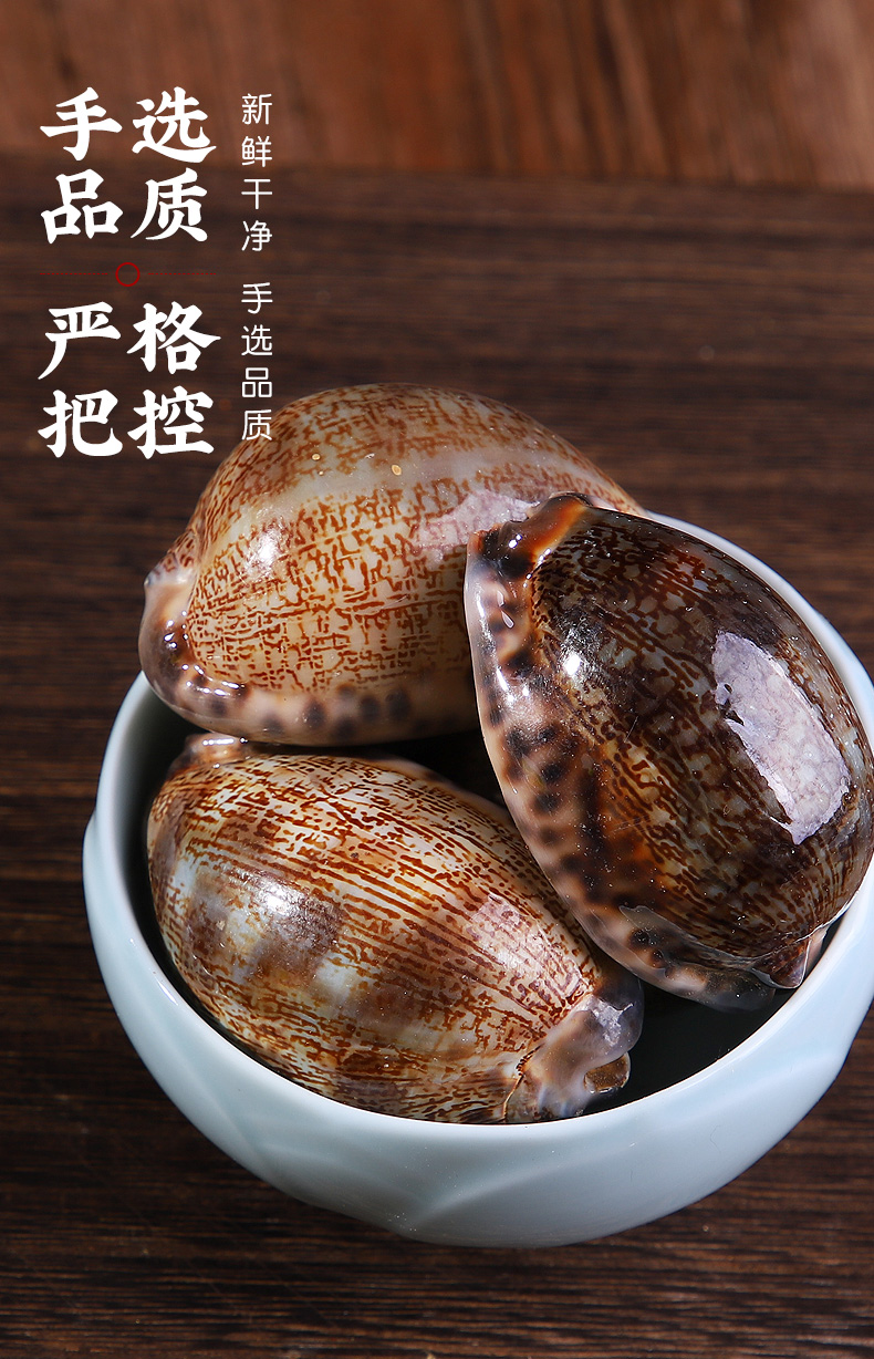 北京同仁堂紫贝齿500克袋装紫贝文贝壳紫贝子可磨紫贝齿粉中药材店铺