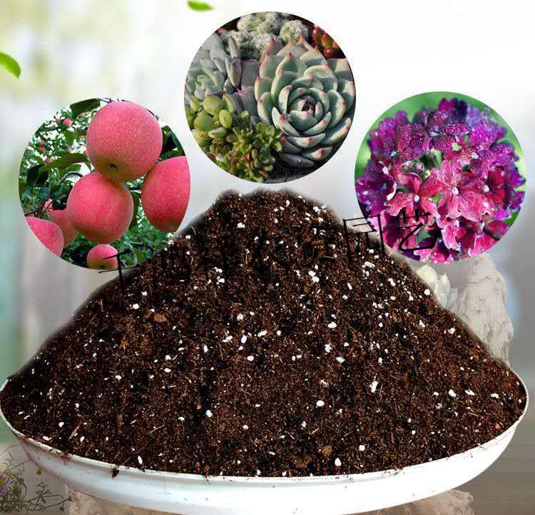 金钱树土金钱树营养土盆栽酸性土培养土壤种植土家用绿植通用有机肥料