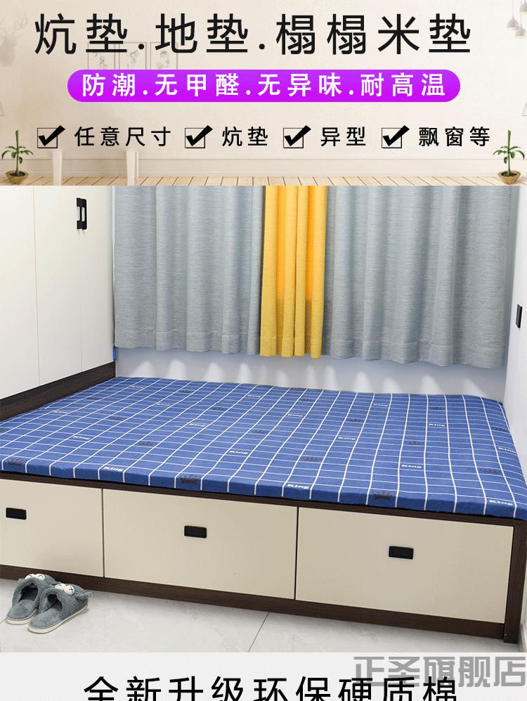 大炕垫子炕上铺的床垫子榻榻米电热炕垫加厚农村土炕耐高温东北火坑