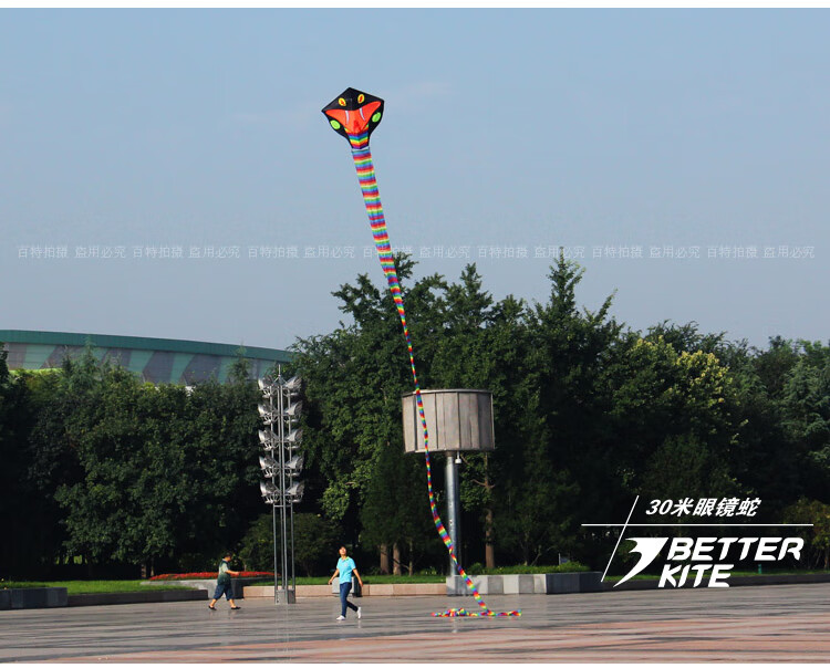 臻卡致风筝大型成人特大百特风筝长蛇风筝长尾易飞新款大型壮观成人