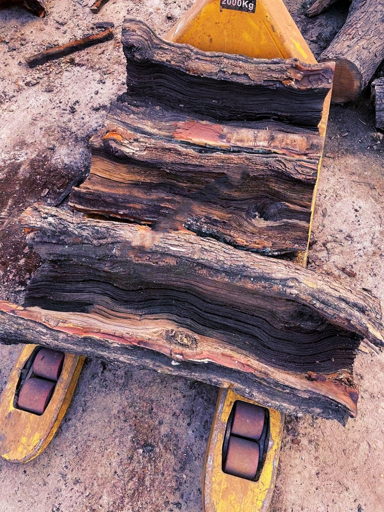 微韵 真正雷击枣树原木活树伐开料 雷劈枣木自然雷痕 道教实用 原木段