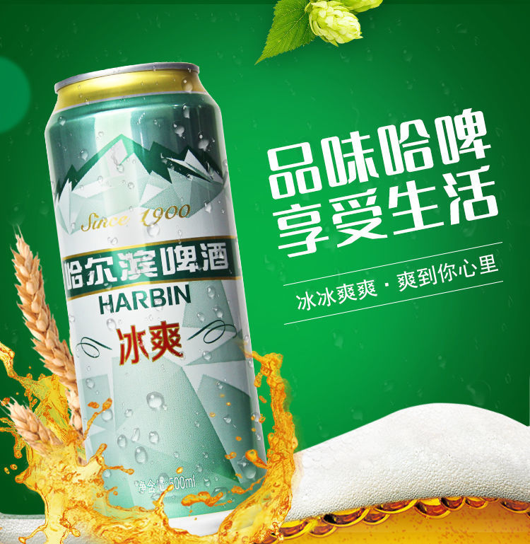 哈尔滨啤酒冰爽 500ml6/12罐装【21年7月】冰爽啤酒听装整箱家庭装