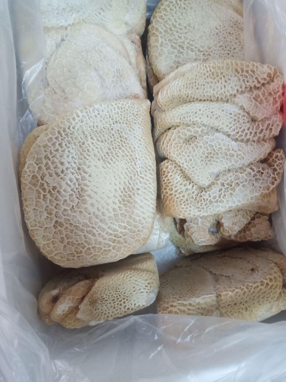 新鲜冷冻牛肚牛蜂窝肚牛金钱肚不水发无任何添加调理顺丰4斤真空包装