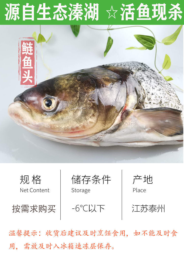 鲜活现杀胖头鱼鲢鱼头剁椒鱼头鱼头煲汤花鲢大头白鲢新