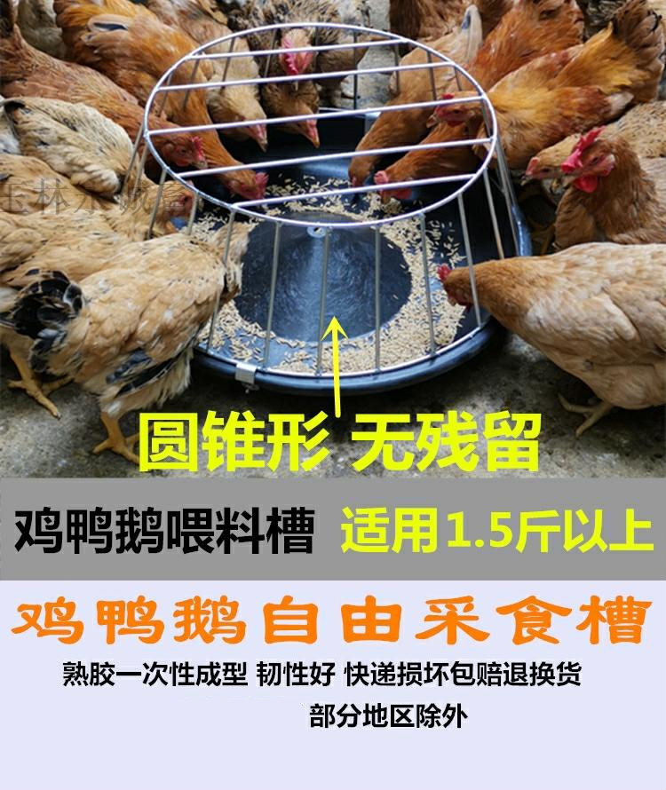 信鴿用品用具鴿具養雞餵雞鴨食槽食盒料盆喂水餵食器食盆雞用鴿子6