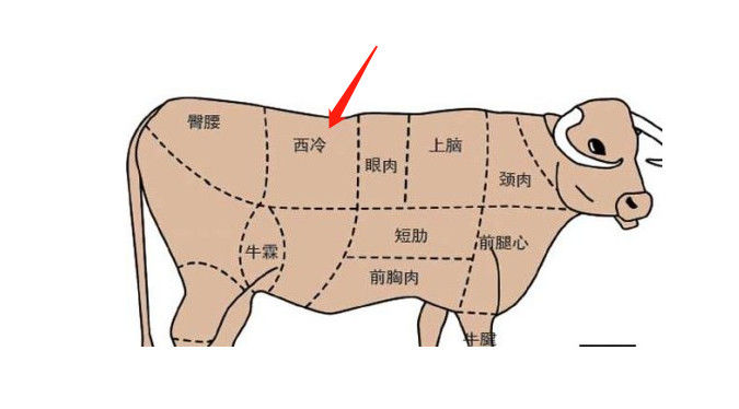 里脊肉图片部位图片