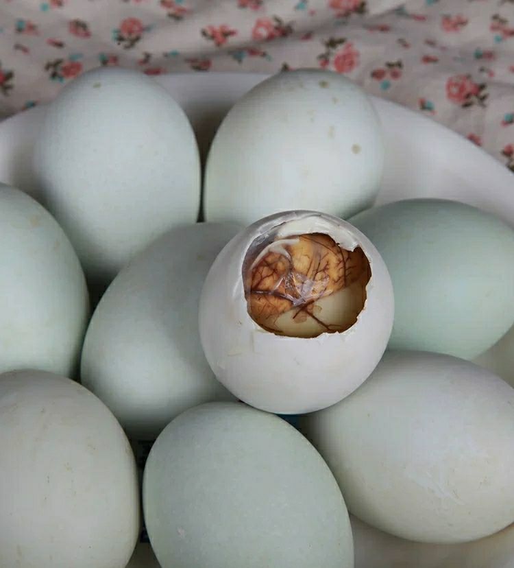 20只活珠子鸭胚蛋活珠十八天活子蛋鸭仔蛋活喜蛋毛鸭蛋屈头蛋4枚可选